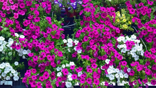 �����, ������� ����� �������� ������� � ����� ����