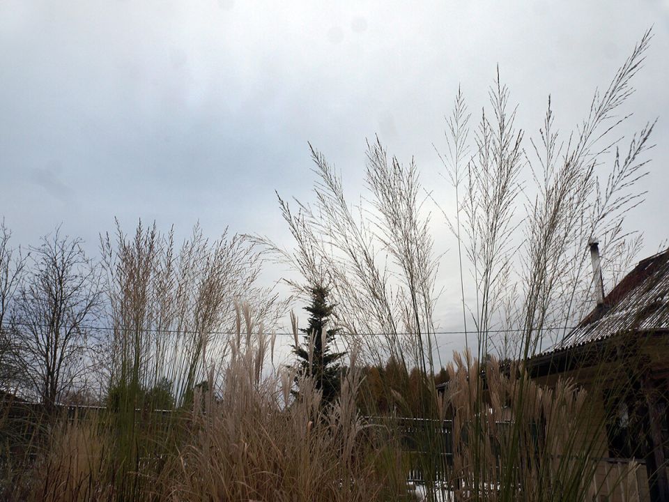 ������ ������: ����������� � ������ � �������� � ����