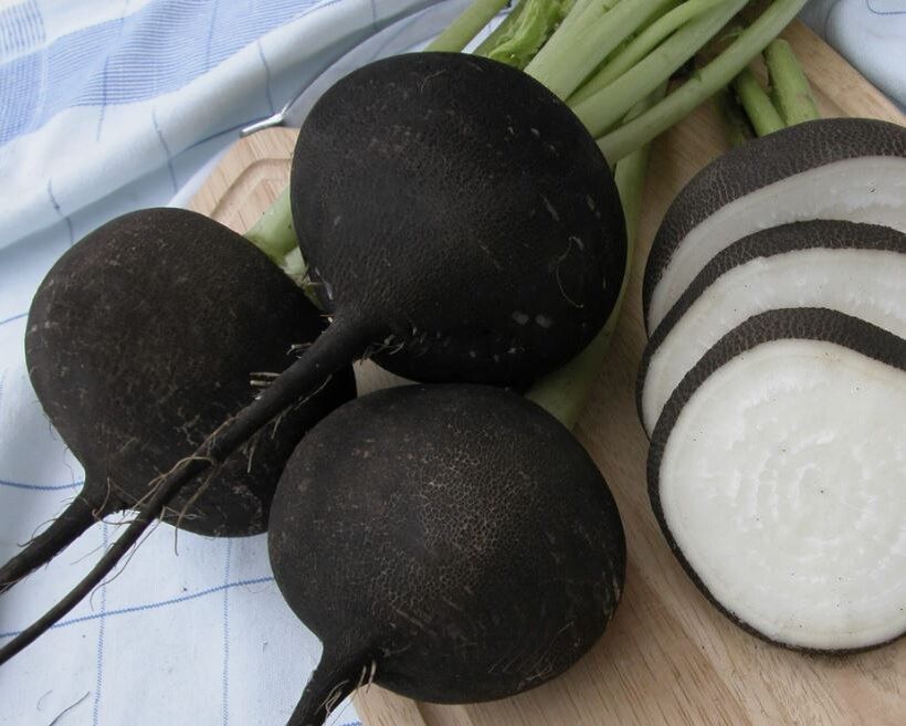 ������������ ������� � ������ ������� ��� �������� � �����