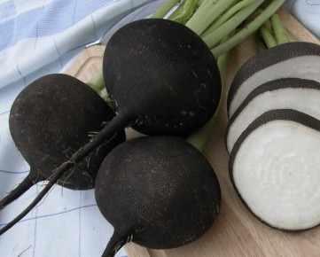 ������������ ������� � ������ ������� ��� �������� � �����