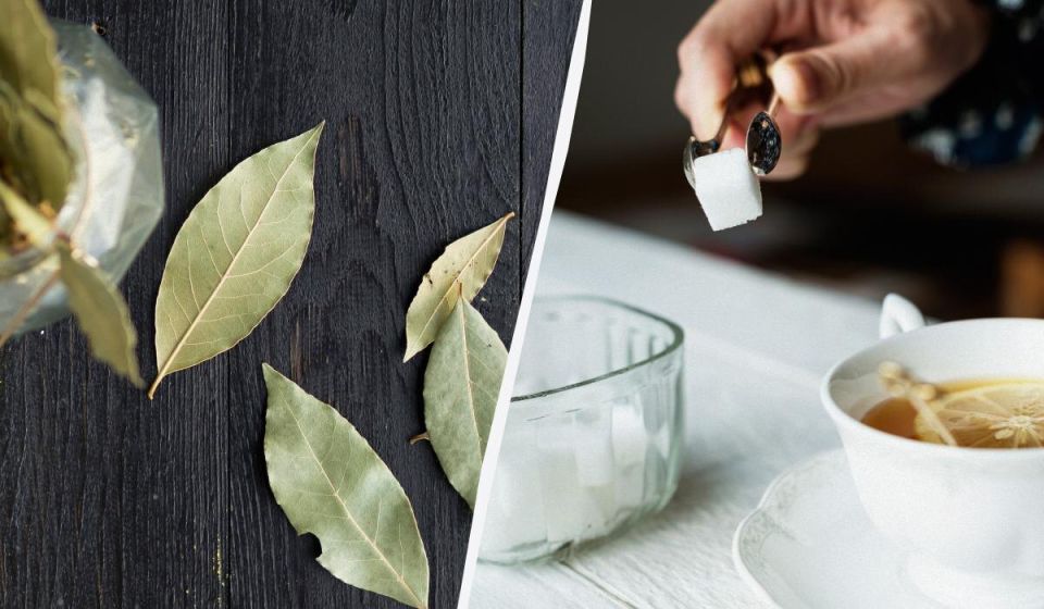 �������� ���� � ���������: ������� �������� ��������� �������