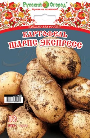 Новые сорта картофеля: что предлагают магазины в 2026 году
