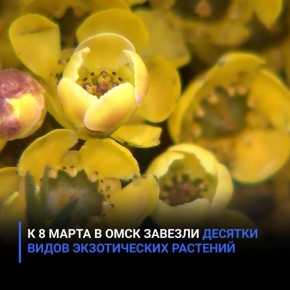 � 8 ����� � ���� ������� ������� ����� ������������ ��������