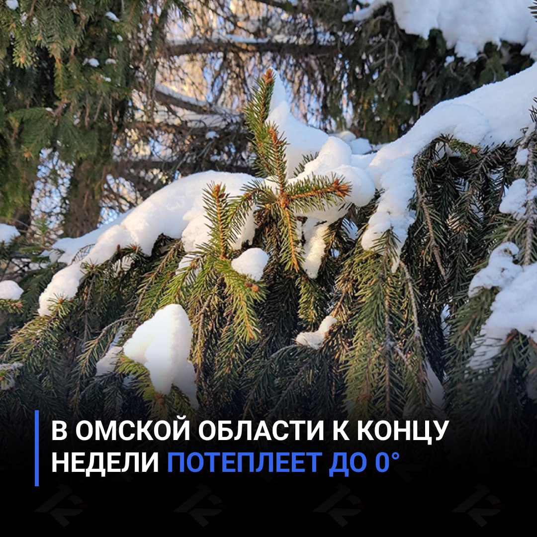 В Омской области к концу недели потеплеет до 0°