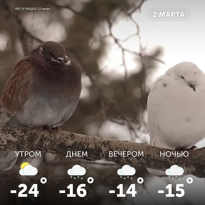 ������ ����, �����!. ����� ������ ��������� ����� ��� ����� ��������� ������� �����������!