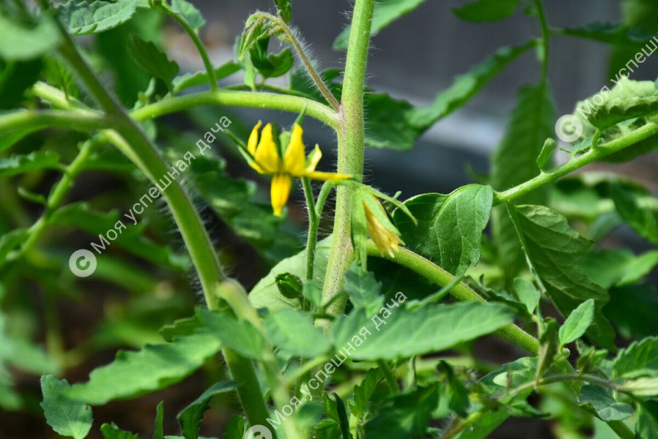 ��� ��������� ���������� ������ � ������ �������� ��� ���������� ������