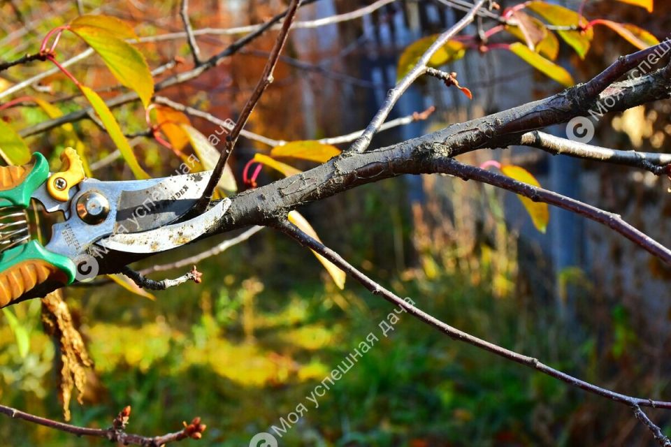 ��� ������� ���������� �������� �������� �������� ������ �������� ������