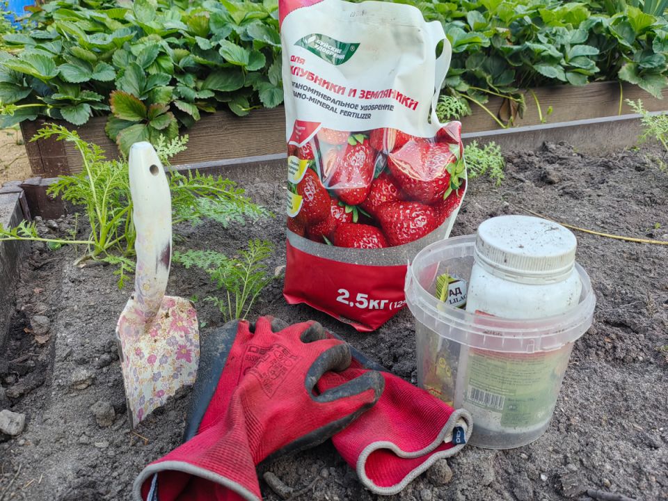 ��� ����������� ���������� ������ ��� �������� ������: ������ � ������������