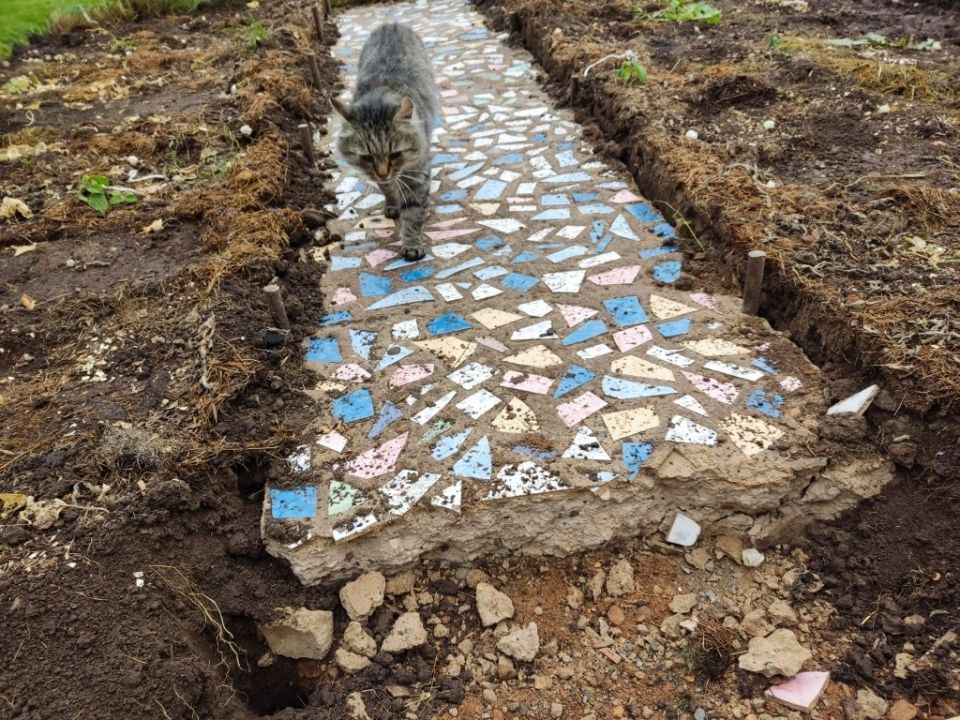 ��� �� ��������� ������� � ����������� ����� ��� ����