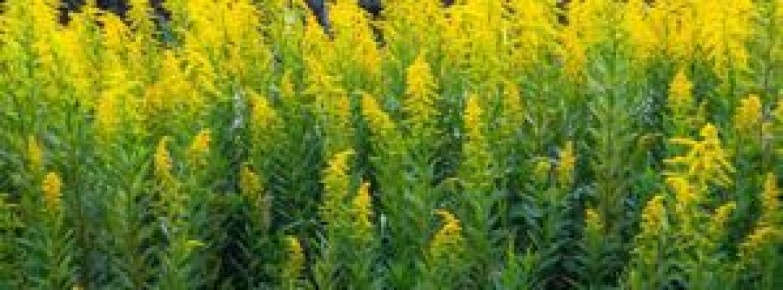 ����������: ������� ��������� ���� � ������� ����������