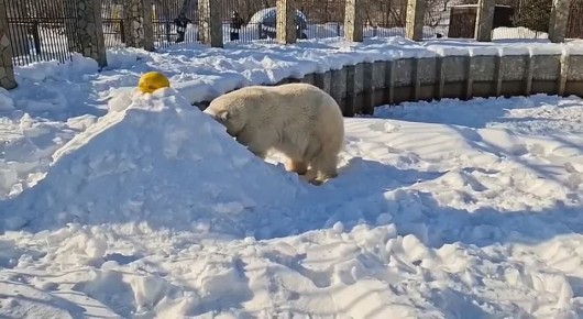 ��������������� ������� �������, ��� ����� �������� ���� ��������� �������