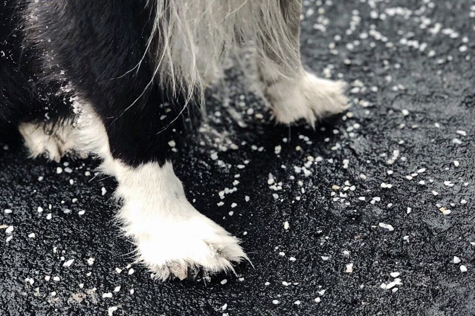 ���������� ����������������� �������� ��� �������� ��������