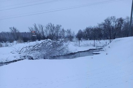 ����������� ������� ������ � �������� ������� ������� ������� ������������� ��������� ��������� �������� � �������� ������ ����� ����������� � �. �������