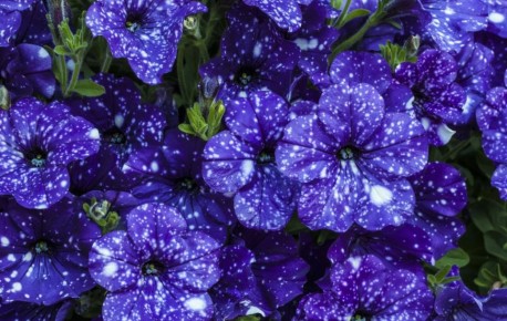 ������� '������ ����': ������� ��������� ����� �������� ������ � ����� ����