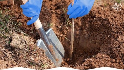 ������ ��� ������� ������� ��������, ������� ����� ������ ��������