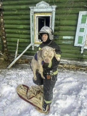 Пожар в Ленинском округе: спасатели вытащили женщину и животных