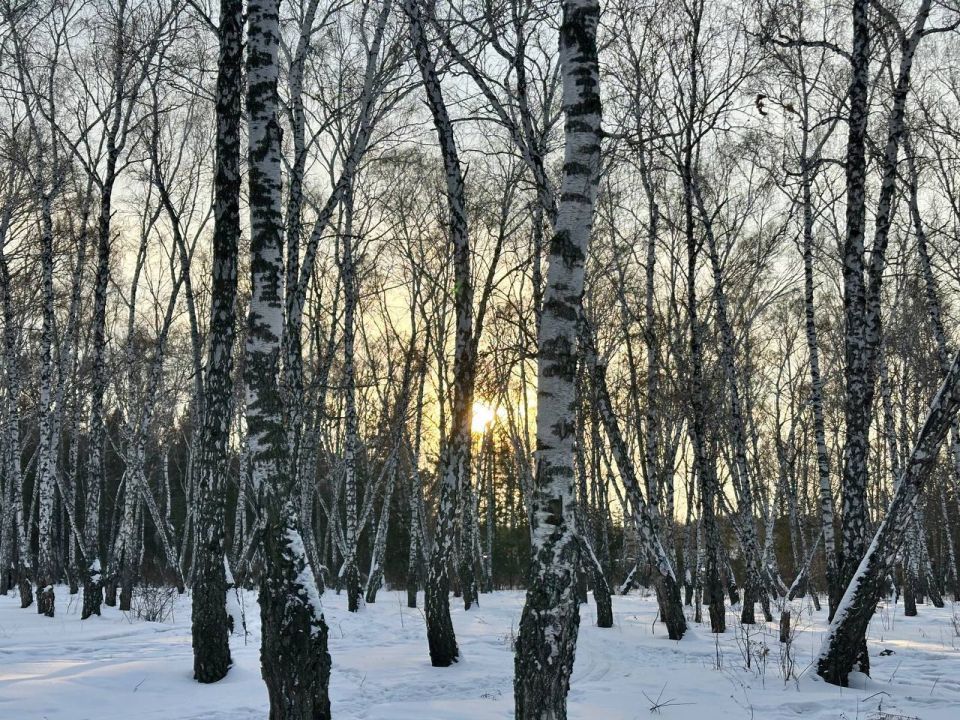 После оттепели Омскую область ждут сильные морозы