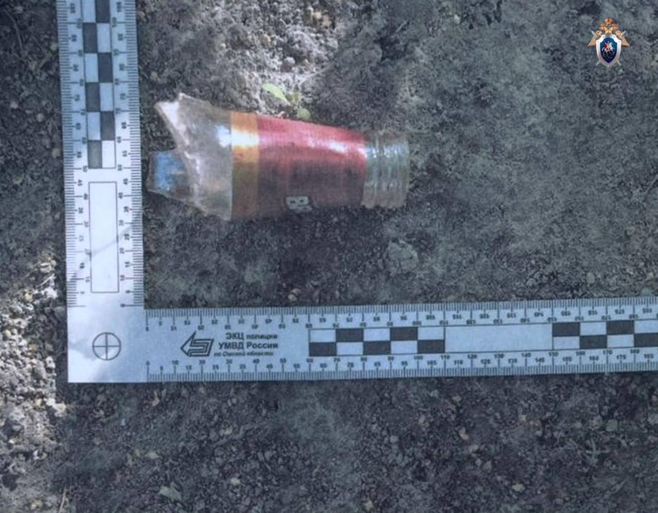 Омичку судят за убийство незнакомца "розочкой"