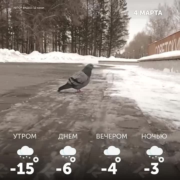 ������ ����, �����!. ������ �������� ������� � ��������� ���