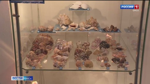 �������� ���������� ��� ������ ����������� � ������ ��������������� ��������-������������� �����