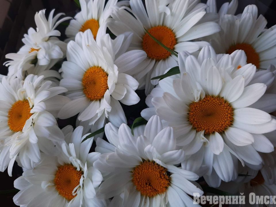 �� ����������� ����� �� ���� ���������� ������: ���� ������� � ����� � ��������� �������� � �� ������� ��������