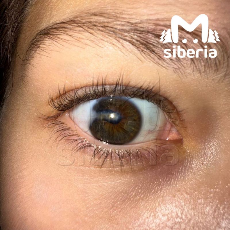 ��������� ���� ��-�� �������� �������� ������� � ����� ����� �� ���������