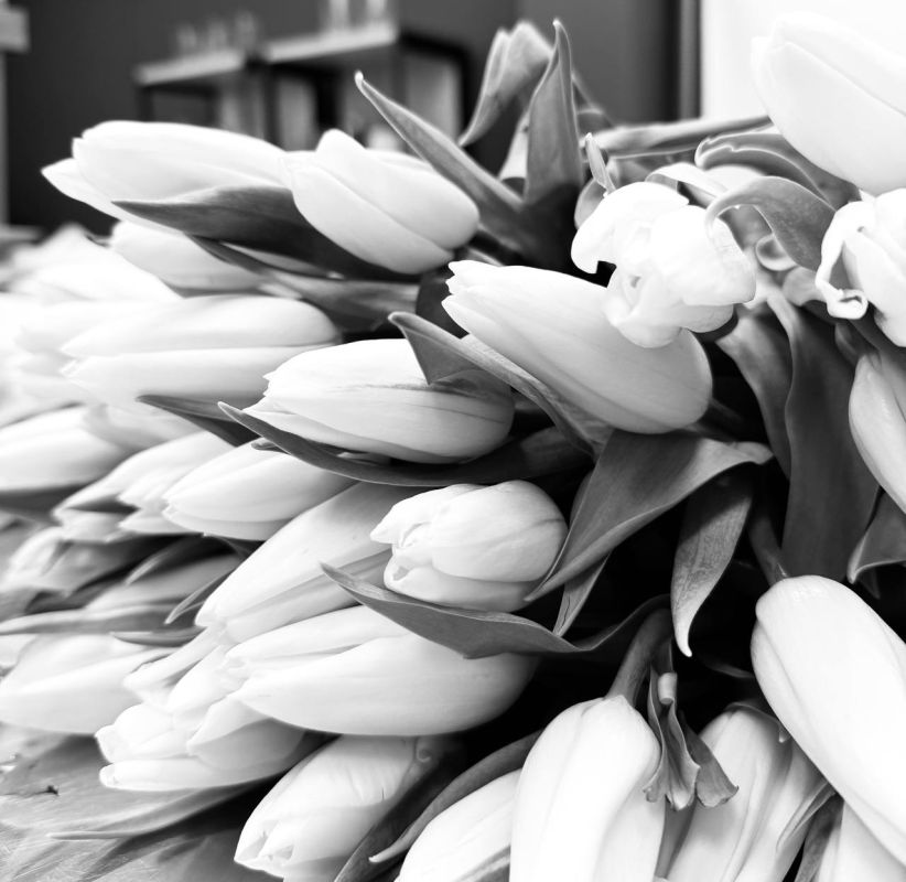 Омич стал жертвой мошенников при заказе крупной партии тюльпанов