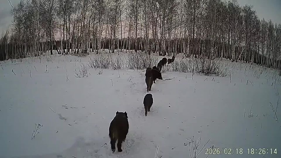 ����������� � ���������� ������ ������������� ����� ������ �������