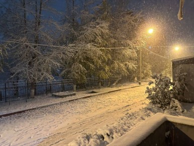 � ������ ������� 7 ����� ��������� ����, ������ � ������� �����