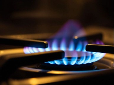 556 ����� ���������������� ������ ��� ���������� ���� ���� � ���������� ����, �������� ����� ��������� ������