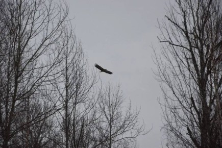 � ������ ������� �������� ������ ����� � ����������������