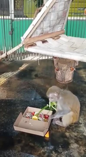 � ��������������� �������� ��������� ���������� ������������ ���������� � ����������