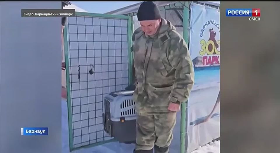 � �������. ��������� ���������� �� ������������� �������� ���������� � ���������� ����� ������ ����� ��� ������������ �������� �� �����