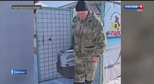 � �������. ��������� ���������� �� ������������� �������� ���������� � ���������� ����� ������ ����� ��� ������������ �������� �� �����