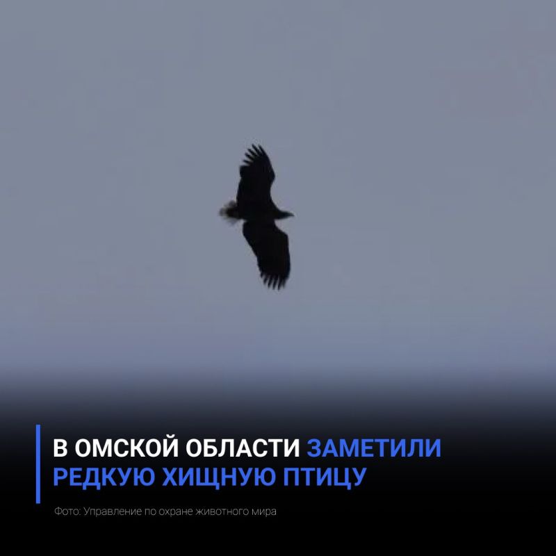 � ������ ������� �������� ������ ������ �����