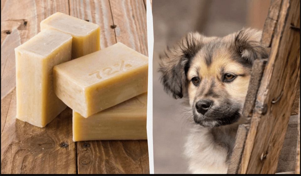 ���� � ������������� ����: ������ � ������� � ��������