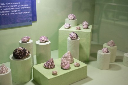 ������������� ����� ���������� �� �������� ���������� ��� ������ (6+)