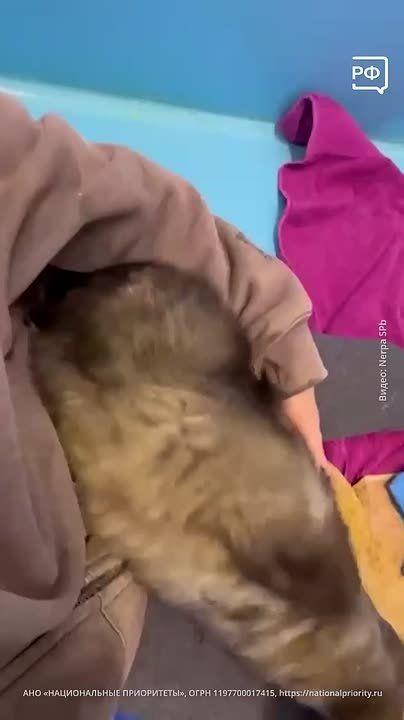 ������������ ����� ����� �� ������