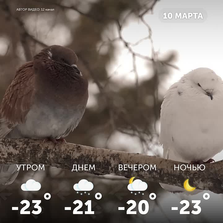 ������ ����, �����!. ����� ������� ��� �� ��� ����������� �����