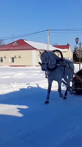 ��������� ����������� ���������� � ��������� �� ���������� �������-2026