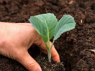 ��� �� ��������� ������ ��� ����������� ������� ������������ �������