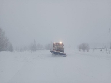 � ���� ������ ��������: ����� �������� �� 26 ������ � �������