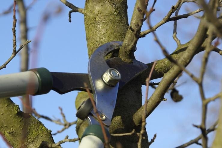 ���� �� ���������: �������� ������ �� ������� ��������