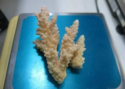 � ������ ������� �� ����-���-����� ������ ����������� ������ ������ �������