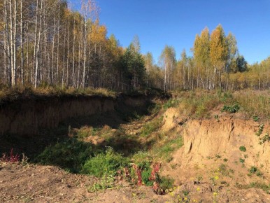 �� ���� ������� ������������ ���������������� ��������� ����������� �������� ����������� ������������ ����� �������� ��������� ����