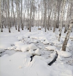 �� ���������� ����������� ��������� � ���������������� ��������������� ������������ ��� ����������� �� ����������� ���� �������� ������