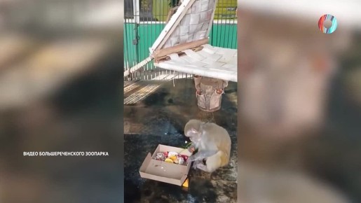 ���� �� ������, ��� ��� ��� ����� �� ������� � ��������� ���������.�