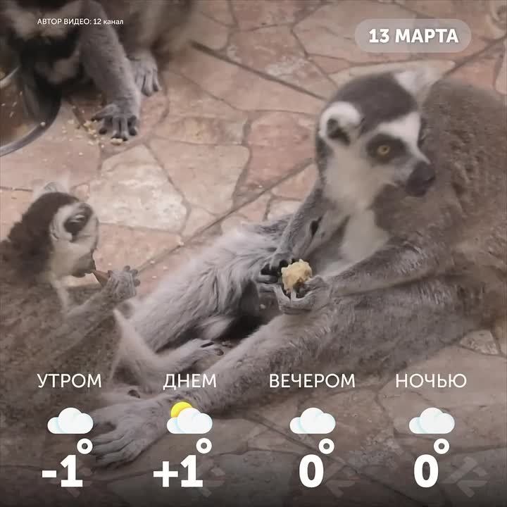 ������ ����, �����. ����������� � �������: ������� �������, � ������, ������� ����������� �����!