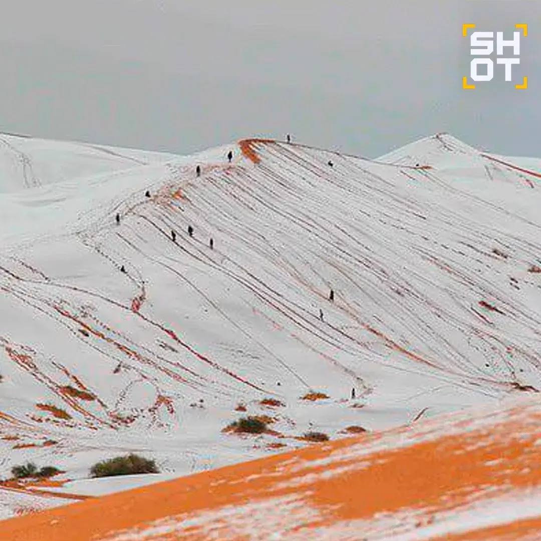 В пустыне Сахара выпал снег В пустыне Сахара выпал снег