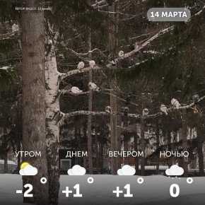 ������ ����, �����!. ������������ ������� � ����� ��������� � ���������� �������� ��� ����� ���������